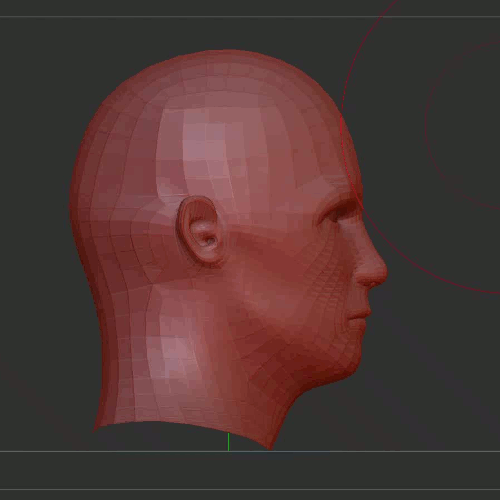 Deforming the face with the Move brush Deforming the face with the Move brush