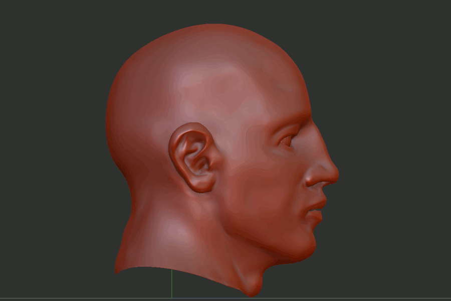 Sculpting the hair Sculpting the hair