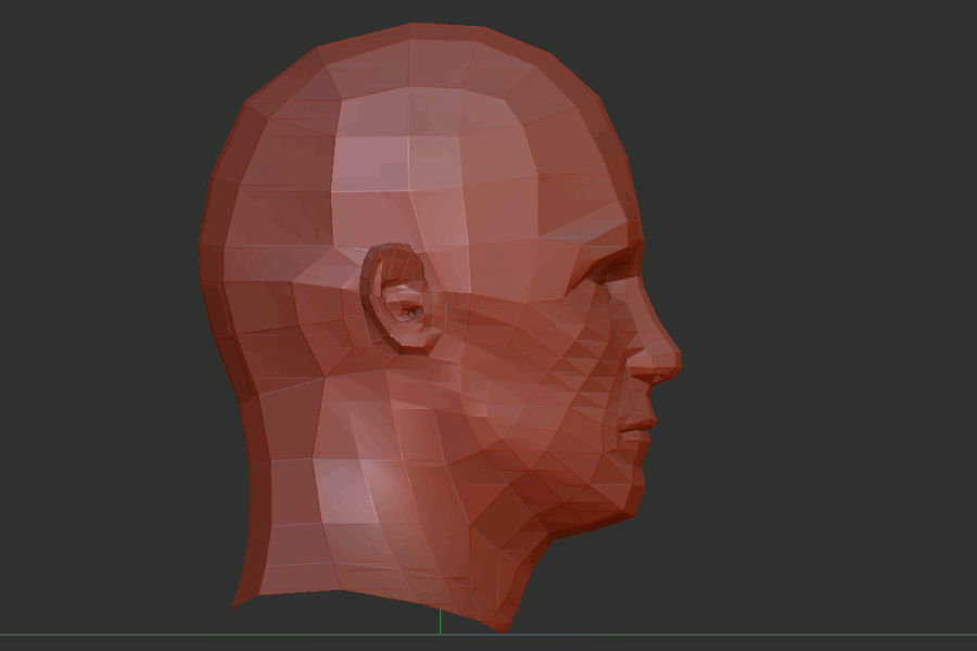 Sculpting the head